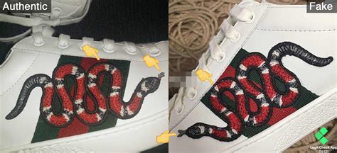 ciucci fake gucci|gucci legit check.